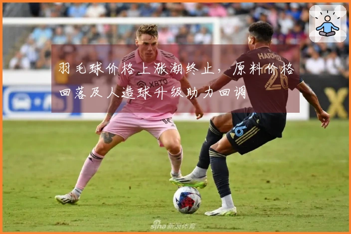 羽毛球价格上涨潮终止，原料价格回落及人造球升级助力回调