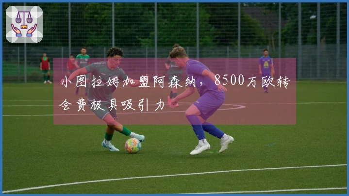 小图拉姆加盟阿森纳，8500万欧转会费极具吸引力