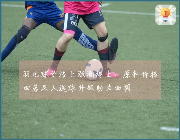 羽毛球价格上涨潮终止，原料价格回落及人造球升级助力回调